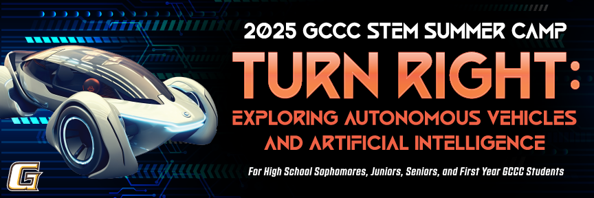 Image of STEM summer camp logo