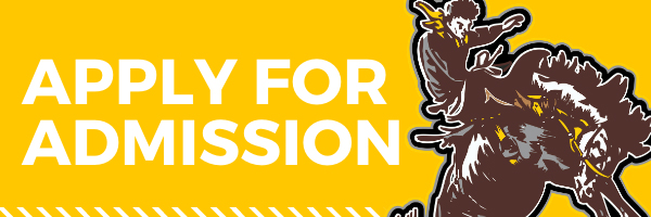 banner for landing page