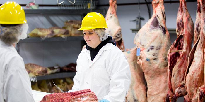 Food Science - Meat Production